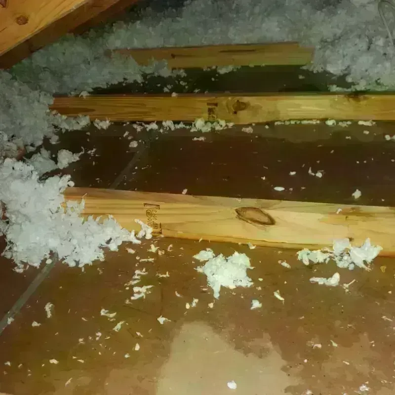 Attic Water Damage in Pike County, IN