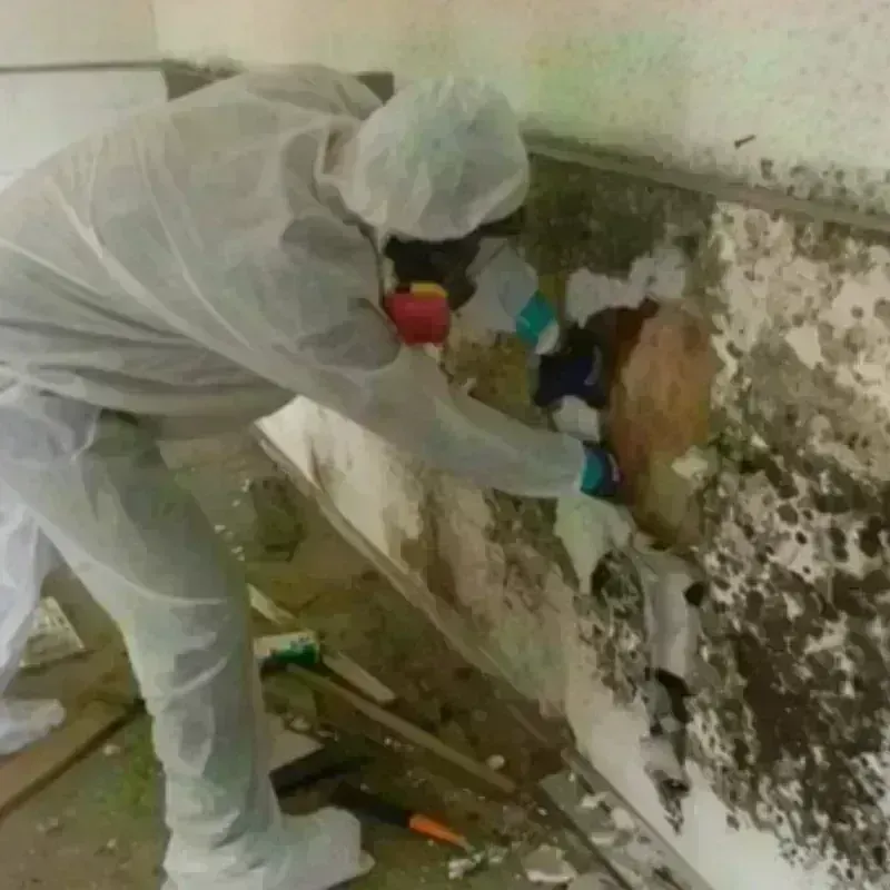 Mold Remediation and Removal in Pike County, IN